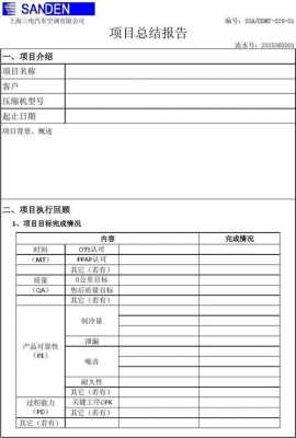 产品开发总结模板（产品开发总结模板图片）-第3张图片-马瑞范文网