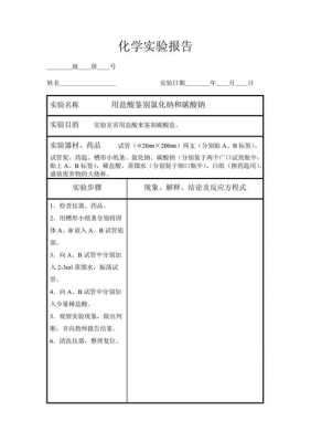 初中实验报告模板-第1张图片-马瑞范文网