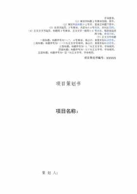  策划书排版字体模板「策划书标准字体格式」-第2张图片-马瑞范文网