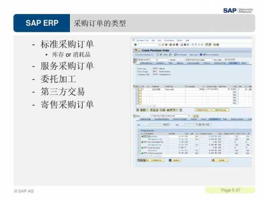 sap模板角色的作用 sap模板-第1张图片-马瑞范文网