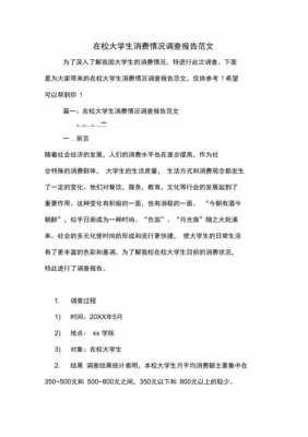  消费情况调查报告模板「消费情况调查报告模板怎么写」-第3张图片-马瑞范文网