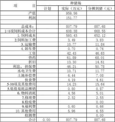 养植场财务报表模板（养殖业财务报表模板）-第3张图片-马瑞范文网