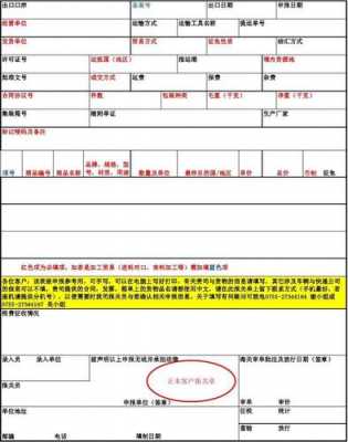 海关递交报告模板_海关上报-第3张图片-马瑞范文网