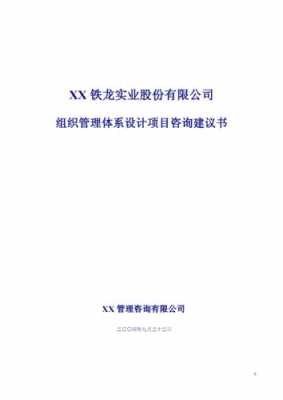 管理咨询方案模板（管理咨询方案书）-第3张图片-马瑞范文网