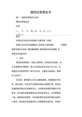  酒吧营销策划书模板范文「酒吧营销方案怎么写?」-第2张图片-马瑞范文网