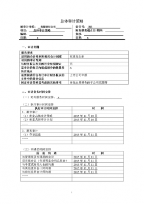 审计策略模板（审计策略是什么意思）-第2张图片-马瑞范文网