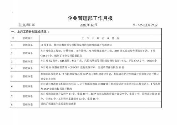 工作进展月报模板-第2张图片-马瑞范文网