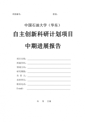 科研项目中期汇报范文-科研项目中期报告模板-第2张图片-马瑞范文网