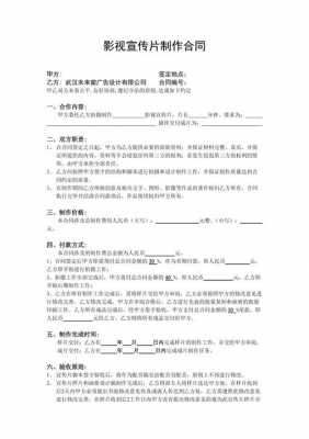 关于影视专题片合同模板的信息-第2张图片-马瑞范文网