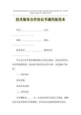 技术服务类合同模板 技术服务协议书模板-第2张图片-马瑞范文网