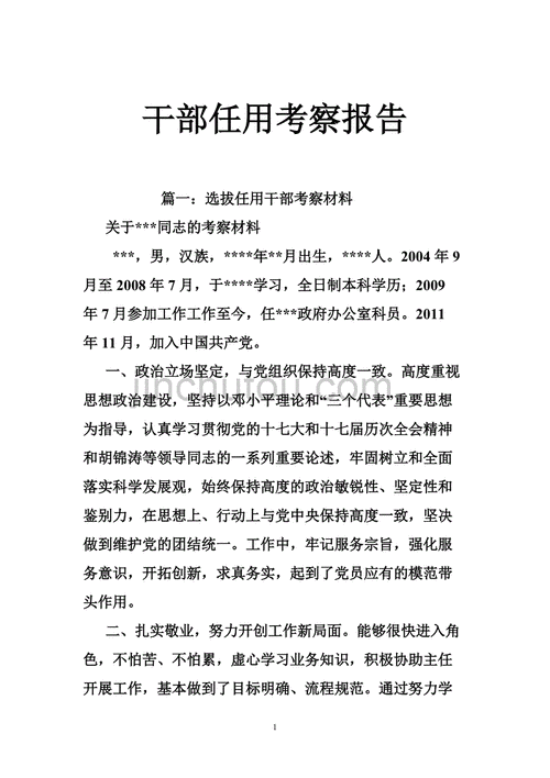 干部考察报告个人考察报告 干部考察个人总结模板-第2张图片-马瑞范文网