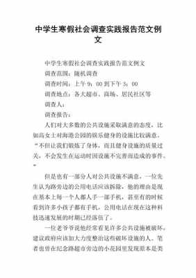 专项调查报告的模板,专项调查报告的模板怎么写 -第1张图片-马瑞范文网