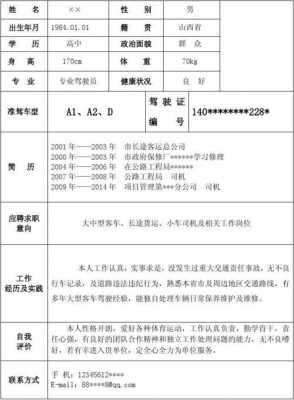 招聘司机简历模板-第3张图片-马瑞范文网