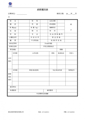  个人履历模板图片「个人履历表怎么写图片」-第2张图片-马瑞范文网