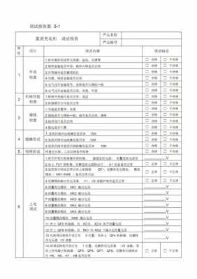 软件调试报告模板（软件调试分析）-第1张图片-马瑞范文网