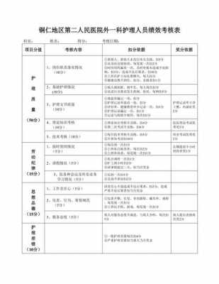 护士综合素质评价模板范文-第3张图片-马瑞范文网