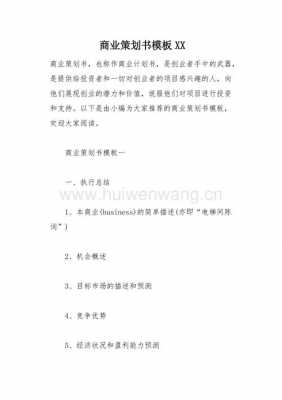  什么是策划案模板「策划案是什么样的」-第3张图片-马瑞范文网