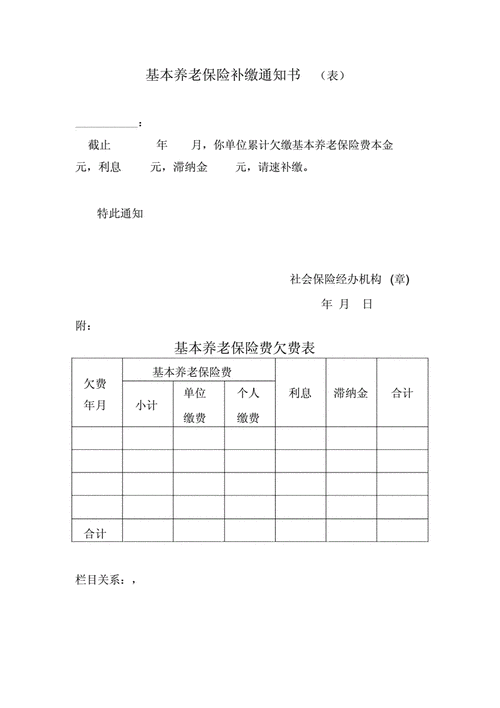 养老保险补缴报告模板-第2张图片-马瑞范文网