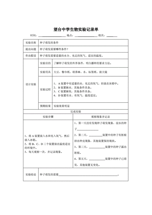 生物实验记录标准模板-第2张图片-马瑞范文网