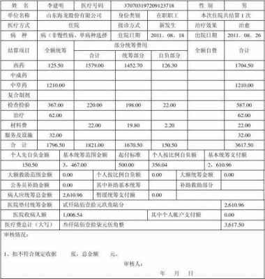 保险内部统筹模板-第3张图片-马瑞范文网