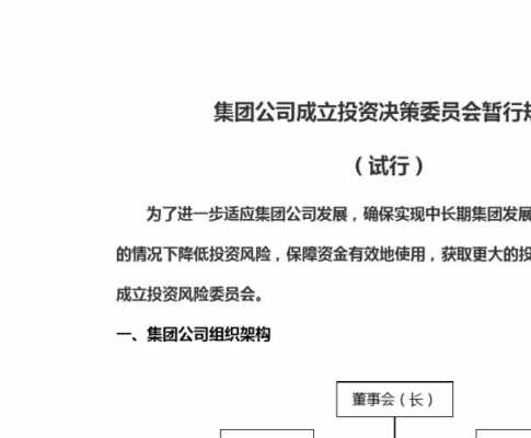 决策委员会模板,决策管理委员会 -第3张图片-马瑞范文网