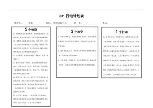 行动计划如何写 具体行动计划模板-第3张图片-马瑞范文网