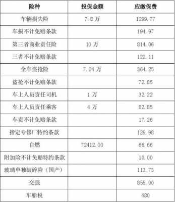 新车保险策划模板_新车保险方案-第3张图片-马瑞范文网