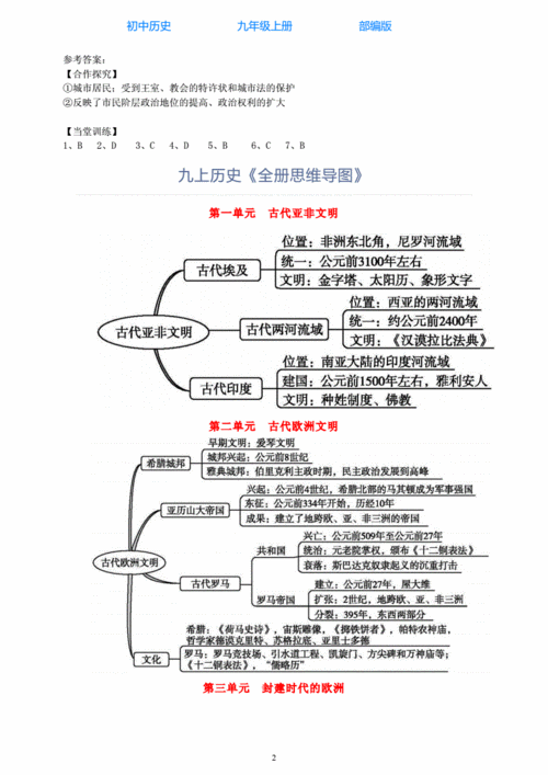  初中历史课导入模板「初中历史课程导入」-第1张图片-马瑞范文网