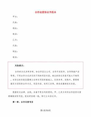 公司合作运营合同模板,合作运营协议注意事项 -第2张图片-马瑞范文网