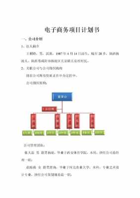 电子商务项目书模板,电子商务项目报告书 -第2张图片-马瑞范文网