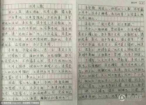 人物文言文传记仿写800字-第3张图片-马瑞范文网