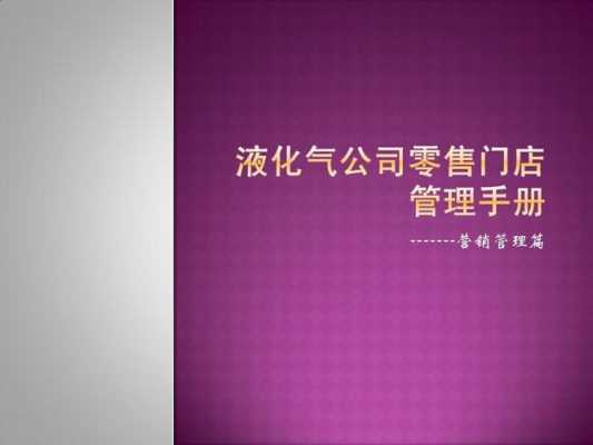 液化气站经营方案模板（液化气公司经营方案）-第2张图片-马瑞范文网