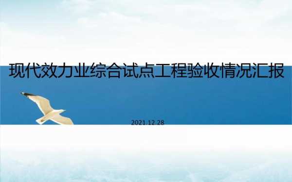 工程验收ppt模板（工程项目验收汇报ppt范文）-第1张图片-马瑞范文网