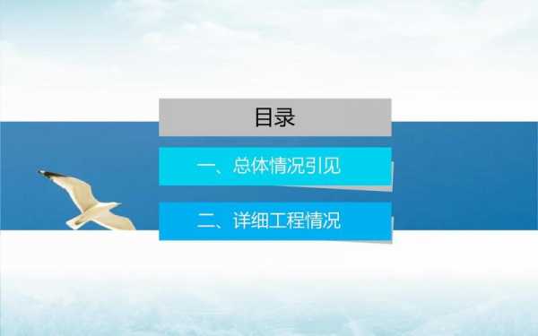 工程验收ppt模板（工程项目验收汇报ppt范文）-第3张图片-马瑞范文网