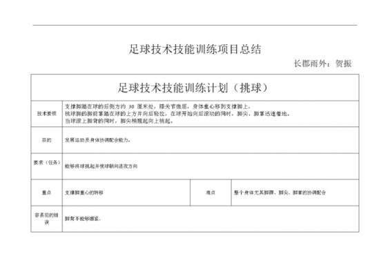  足球比赛方案模板「足球赛方案表怎么做」-第1张图片-马瑞范文网