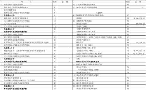 乡镇单位会计-乡镇会计报表模板-第3张图片-马瑞范文网