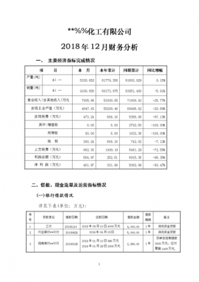 月度财务状况分析模板-第3张图片-马瑞范文网