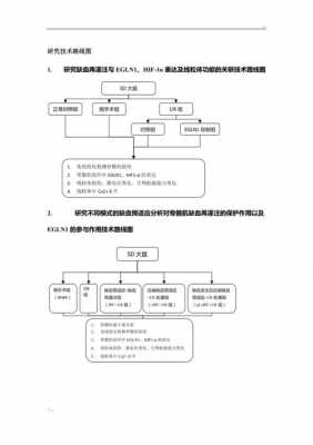 研究技术路线模板,研究报告技术路线怎么写 -第3张图片-马瑞范文网