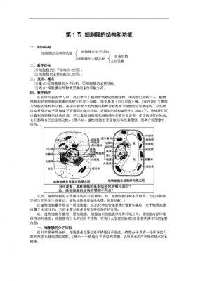 生物细胞膜学案模板-第1张图片-马瑞范文网