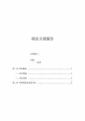  项目策划立项模板「项目策划立项模板范文」-第2张图片-马瑞范文网