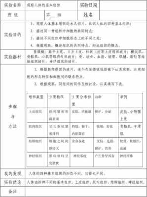 人体模板制作过程总结,人体模板制作实验报告 -第2张图片-马瑞范文网