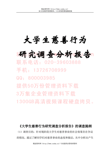 公益调研分析报告模板,公益调研分析报告模板范文 -第2张图片-马瑞范文网