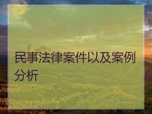 民事法律分析报告模板_民事案件分析法学论文-第3张图片-马瑞范文网