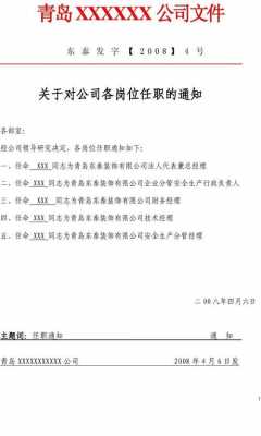 人事任职公告模板,人员任职公示格式范文 -第2张图片-马瑞范文网