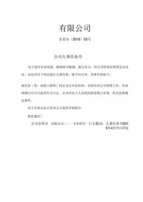 人事任职公告模板,人员任职公示格式范文 -第3张图片-马瑞范文网