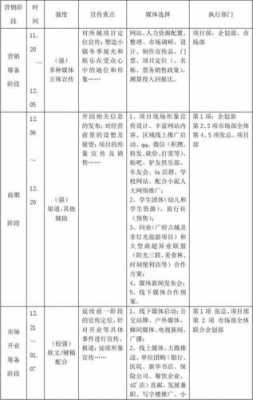 传播规划方案-传播年度计划模板-第1张图片-马瑞范文网