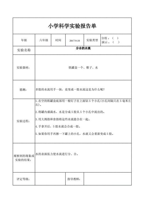 科学实验小结模板（科学实验报告总结）-第2张图片-马瑞范文网