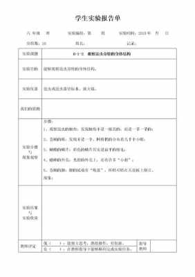 科学实验小结模板（科学实验报告总结）-第3张图片-马瑞范文网