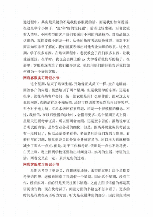 网络客服每周计划模板,网络客服周记20篇 -第2张图片-马瑞范文网