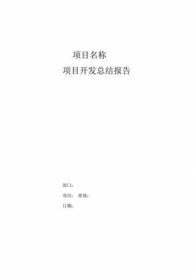 软件项目开发总结报告 软件开发项目汇报模板-第3张图片-马瑞范文网